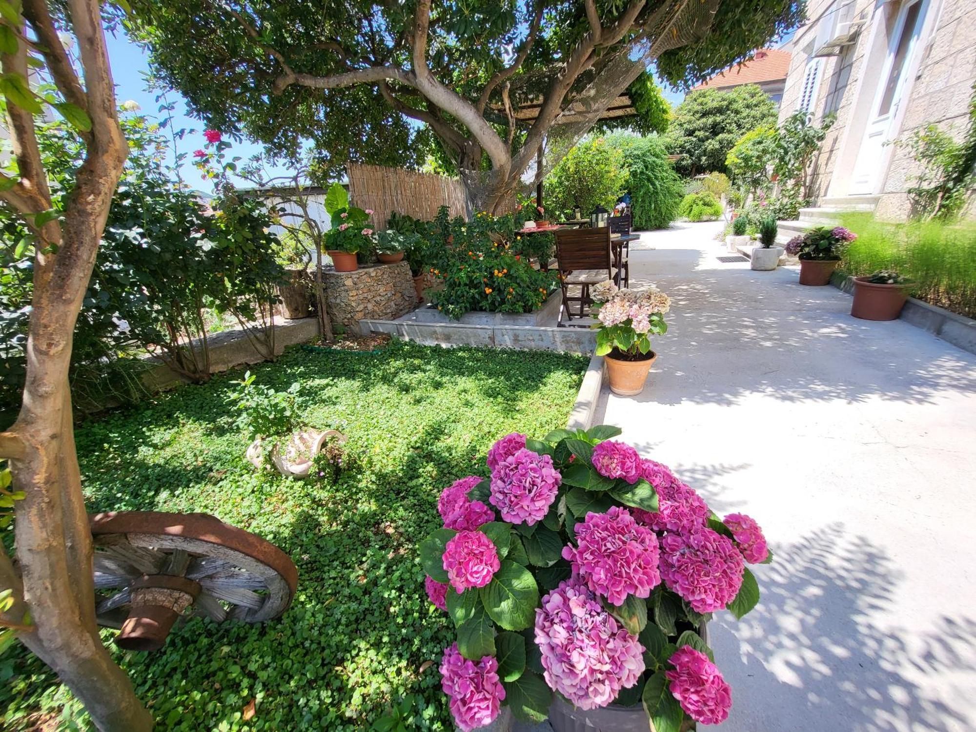 Apartments Miljas Dubrovnik Ngoại thất bức ảnh
